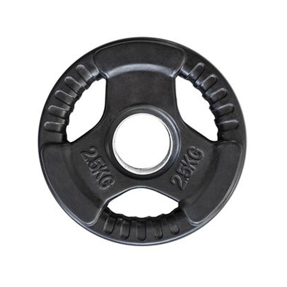 Viktskiva 2,5 kg Ø50 mm