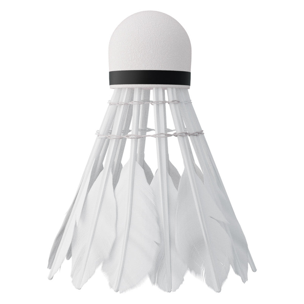 NILS Badmintonbollar 6-pack